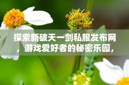 探索新破天一剑私服发布网,游戏爱好者的秘密乐园,新破天一剑私服发布网,游戏爱好者的秘密乐园 探索新破天一剑私服发布网,游戏爱好者的秘密乐园,新破天一剑私服发布网,游戏爱好者的秘密乐园