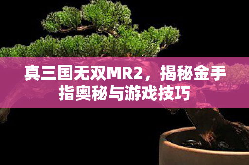 揭秘金手指奥秘与游戏技巧图片