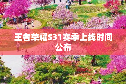 王者荣耀S31赛季上线时间公布图片