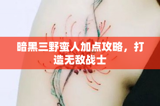 暗黑三野蛮人加点攻略图片