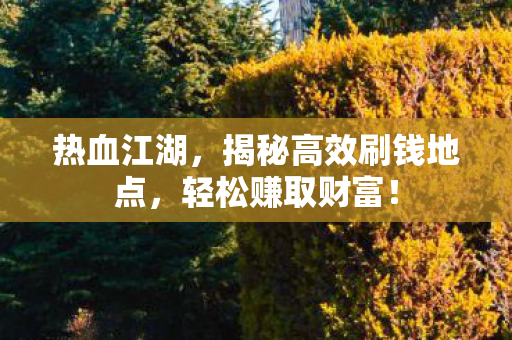 揭秘高效刷钱地点图片