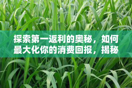 探索第一返利的奥秘,如何最大化你的消费回报,揭秘第一返利,最大化消费回报的秘诀 探索第一返利的奥秘,如何最大化你的消费回报,揭秘第一返利,最大化消费回报的秘诀