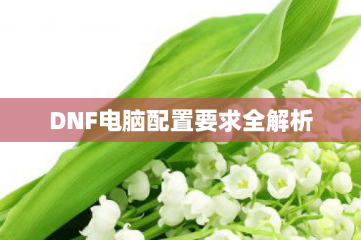 DNF电脑配置要求全解析图片