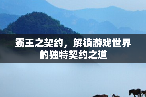 解锁游戏世界的独特契约之道图片