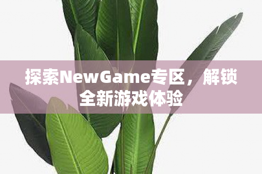 探索NewGame专区图片