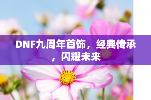 DNF九周年首饰图片