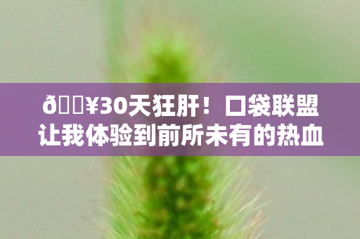 口袋联盟让我体验到前所未有的热血与感动图片