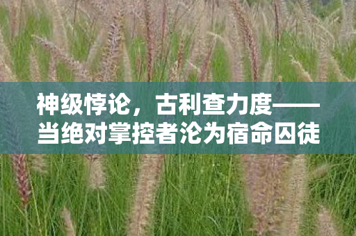 当绝对掌控者沦为宿命囚徒的灵魂震颤图片