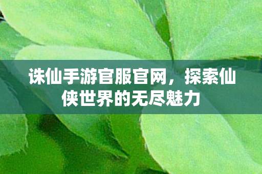 探索仙侠世界的无尽魅力图片