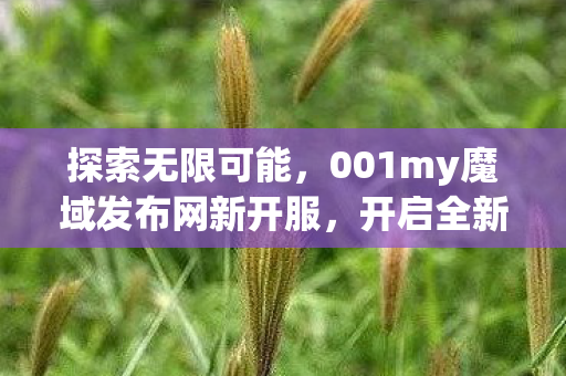 001my魔域发布网新开服图片
