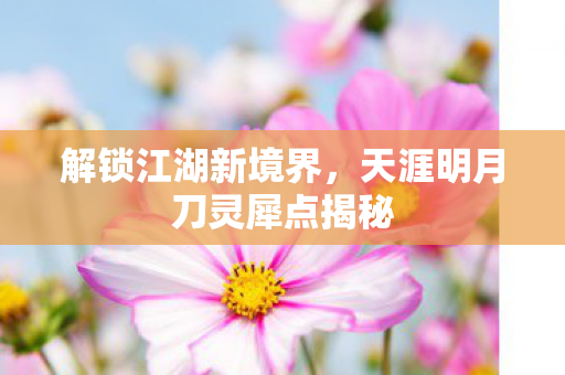 天涯明月刀灵犀点揭秘图片