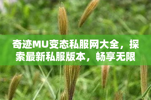 奇迹MU变态私服网大全图片