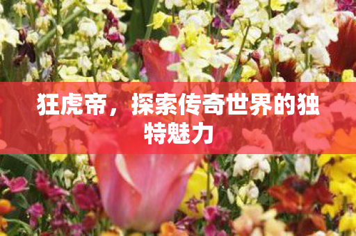 探索传奇世界的独特魅力图片
