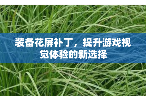 提升游戏视觉体验的新选择图片
