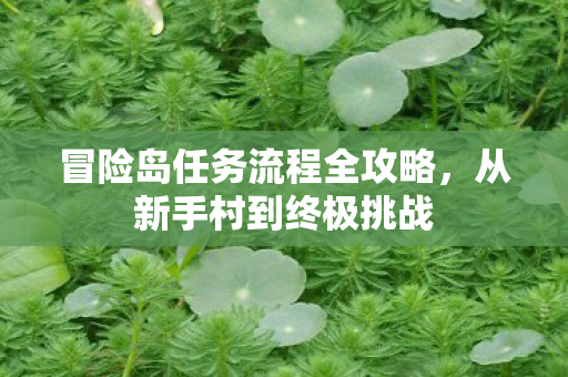 冒险岛任务流程全攻略图片