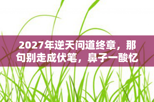 2027年逆天问道终章图片