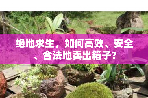 合法地卖出箱子图片