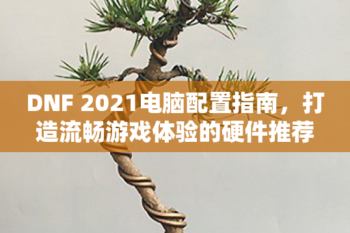 DNF 2021电脑配置指南图片