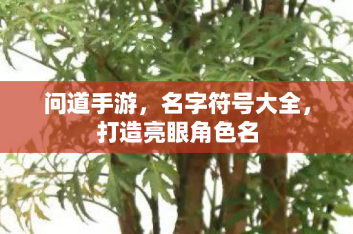 打造亮眼角色名图片