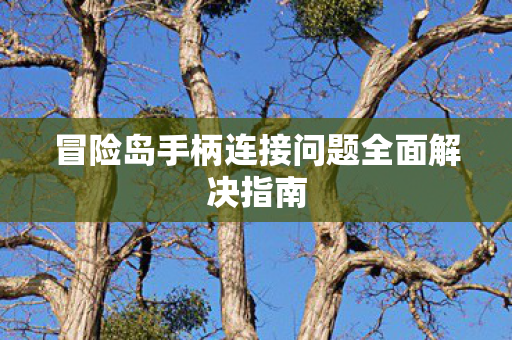 冒险岛手柄连接问题全面解决指南图片