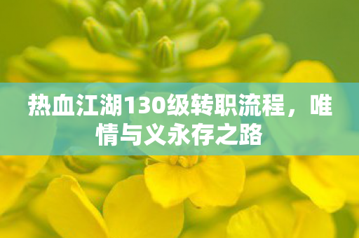 热血江湖130级转职流程图片