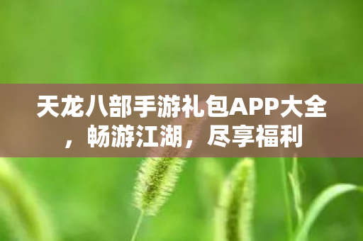 天龙八部手游礼包APP大全图片