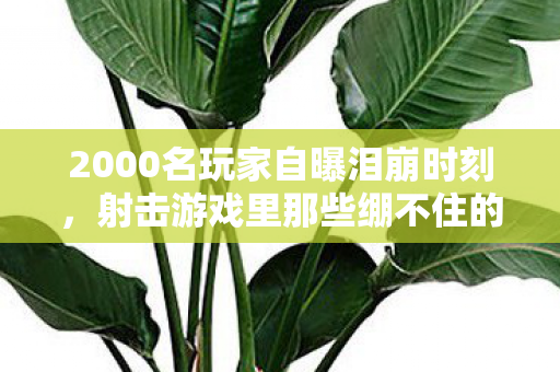 射击游戏里那些绷不住的沙尘暴图片
