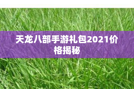 天龙八部手游礼包2021价格揭秘图片