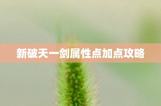 新破天一剑属性点加点攻略图片