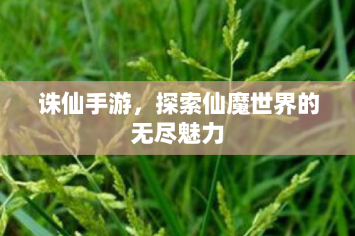 探索仙魔世界的无尽魅力图片