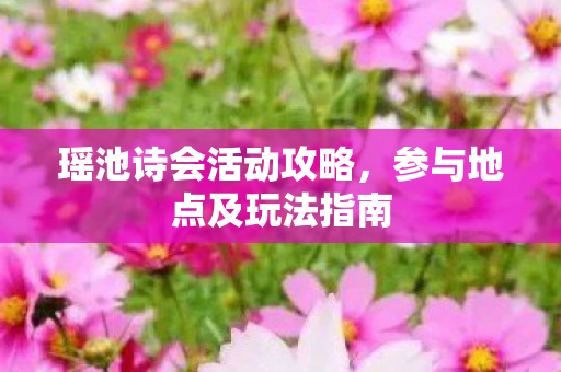 参与地点及玩法指南图片