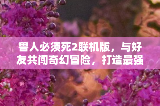兽人必须死2联机版图片
