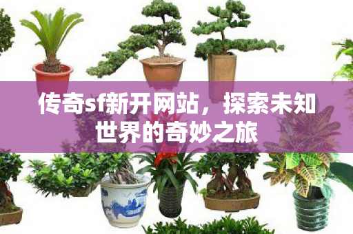探索未知世界的奇妙之旅图片
