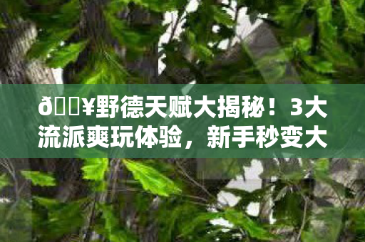 3大流派爽玩体验图片