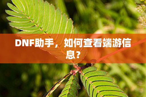 如何查看端游信息图片