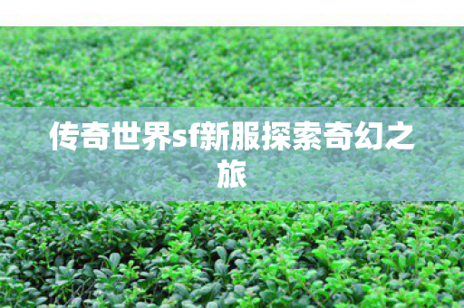 传奇世界sf新服探索奇幻之旅图片