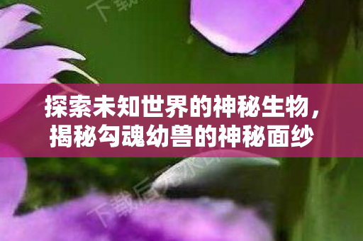 探索未知世界的神秘生物图片