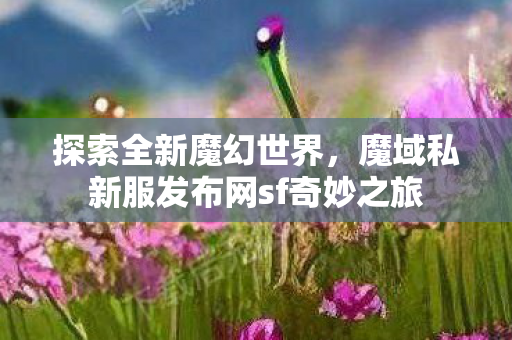 魔域私新服发布网sf奇妙之旅图片