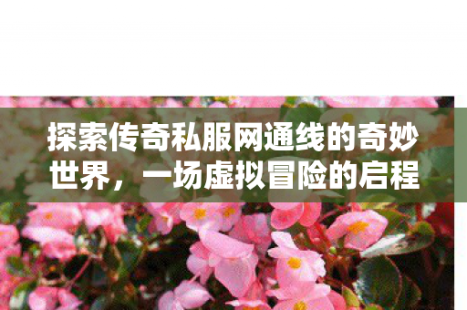 探索传奇私服网通线的奇妙世界图片