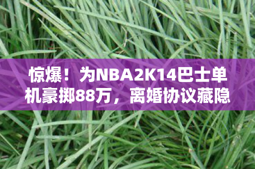 为NBA2K14巴士单机豪掷88万图片