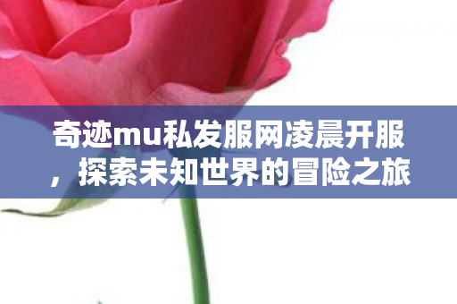 奇迹mu私发服网凌晨开服图片