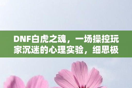 一场操控玩家沉迷的心理实验图片