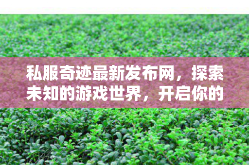 私服奇迹最新发布网图片
