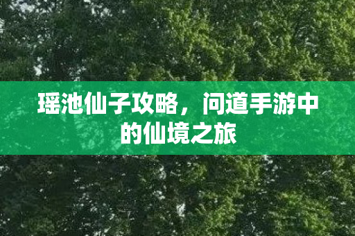 问道手游中的仙境之旅图片