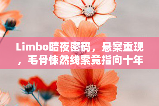Limbo暗夜密码，悬案重现，毛骨悚然线索竟指向十年囚徒的我
