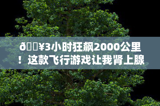这款飞行游戏让我肾上腺素炸裂到天际图片