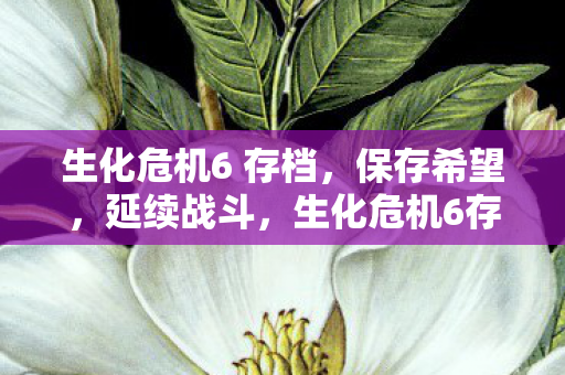 生化危机6 存档,保存希望,延续战斗,生化危机6存档,保存希望,延续战斗 生化危机6 存档,保存希望,延续战斗,生化危机6存档,保存希望,延续战斗