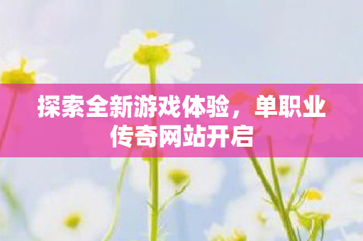 单职业传奇网站开启图片