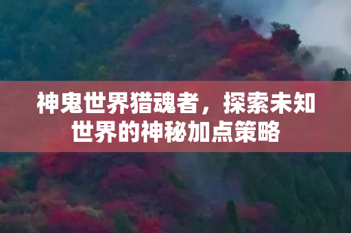 探索未知世界的神秘加点策略图片