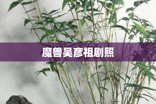 魔兽吴彦祖剧照图片